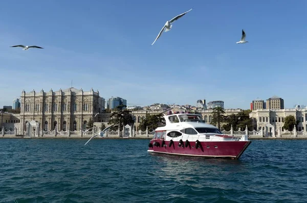 Istanbul Turkey November 2019 Motor Yacht Bosphorus Strait Dolmabahce Palace — Stock Photo, Image