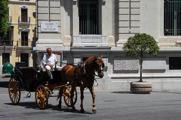 Seville Espanha Julho 2011 Carruagem Puxada Cavalo Centro Antiga Sevilha — Fotografia de Stock