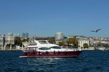  İstanbul, Türkiye - 3 Kasım 2019: İstanbul Boğazı 'nda motorlu yat. İstanbul