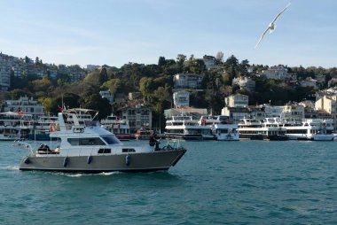  İstanbul, Türkiye - 3 Kasım 2019: İstanbul Boğazı 'nda motorlu yat. İstanbul
