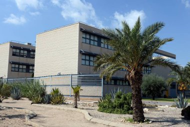 ELCHE, İspanya - 20 Eylül 2018: Elche, İspanya 'daki Miguel Hernandez Üniversitesi' nde hurma palmiyeleri