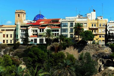 ELCHE, SPAIN - 20 Eylül 2018: Palmiye ağaçlarından dolayı UNESCO 'nun dünya mirası olarak listelenen Elche şehri manzarası