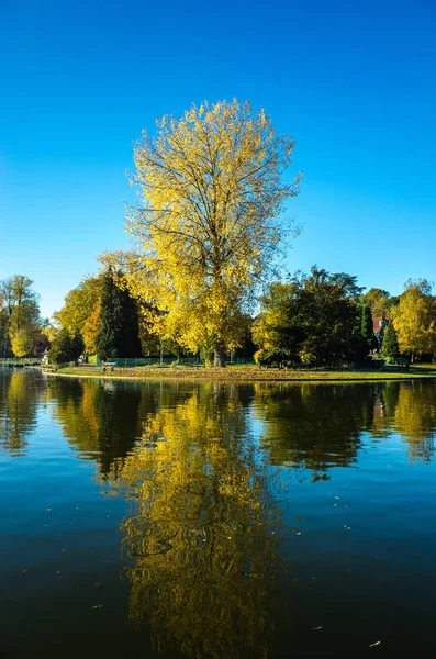 秋天在 Parc des 唐人 Mellaerts，布鲁塞尔 — 图库照片
