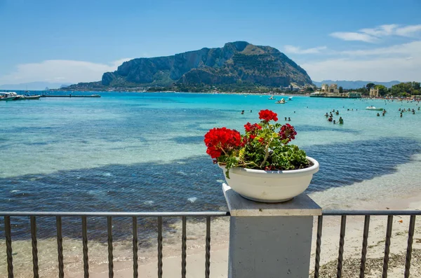 Fiori rossi davanti alla spiaggia di Mondello vicino Palermo — Foto Stock