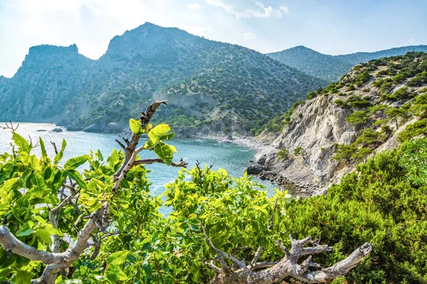 Dağ ve iz Golitsyn Novy Svet, Crimea içinde — Stok fotoğraf