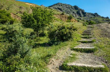 Dağı'na giden adımlar