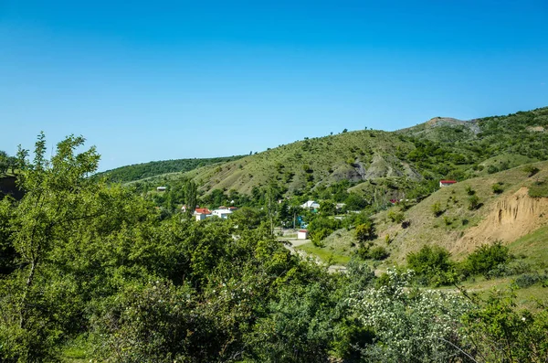 Деревня Зеленогорье в июне — стоковое фото