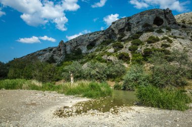 Alchak dağın giderken