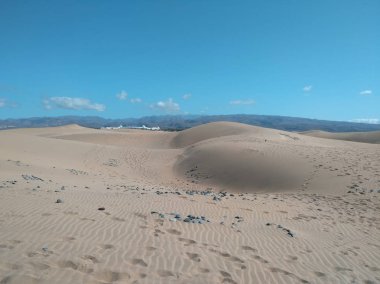 Çöl göğüsleri, Kanarya sands