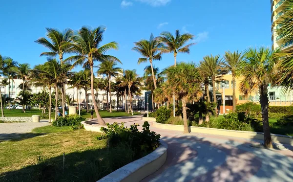 Palm Alley Beach Miami — Stock Photo, Image