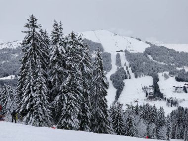 Karlı dağ orman, Les Gets, Fransa