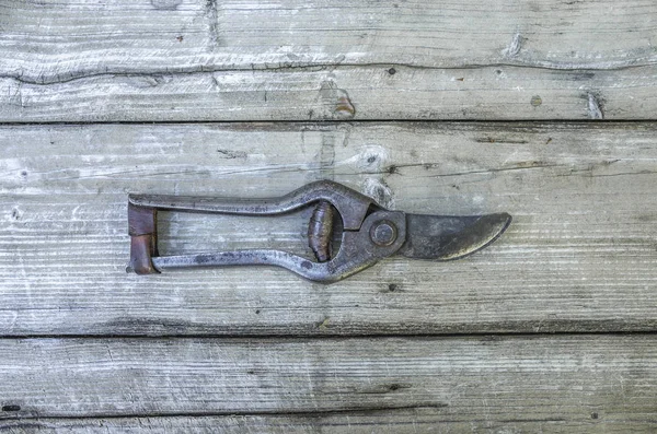 Garden pruner on the background of an old wooden table