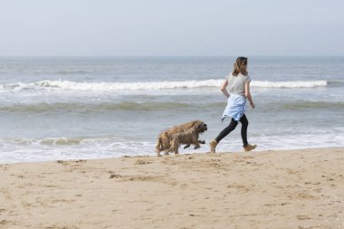 Bir kız ve köpek deniz kıyısı çalıştırın. Kuzey Denizi, Hollanda, Lahey çıkabilir. Nisan 2018.