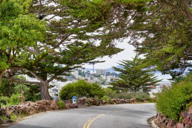 San Francisco, Ca, Usa - 15 Mayıs 2018: Yol boyunca uzanan ağaçların arasında güzel şehir manzarası ve körfez manzarası