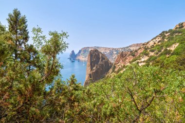 Ağaçların dallarının arasından geçen bir deniz koyunda. Karadeniz 'deki doğa rezervi. Cape Fiolent, Kırım Yarımadası
