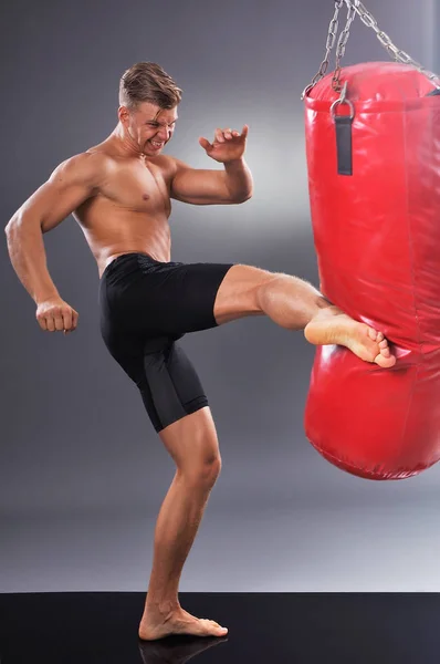 Muskulös Fighter tränar några sparkar med Boxsäck. Boxning på grå bakgrund. Konceptet med en hälsosam livsstil — Stockfoto