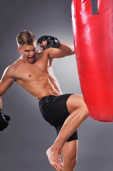 肌肉的战斗机练习一些踢沙袋。拳击在灰色的背景上。健康的生活方式的概念 — 图库照片