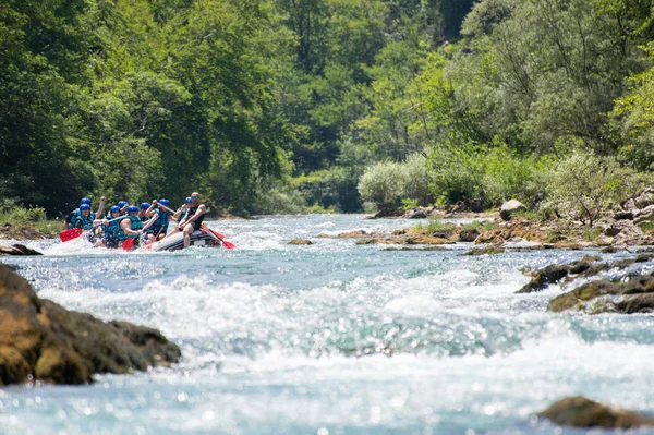 Rafting team goes down the river on the beautiful sunny day. — 스톡 사진