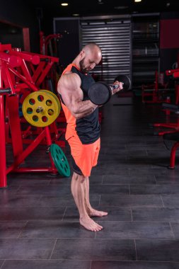 Güçlü kaslı adam spor salonunda halterle biceps egzersizi yapıyor.