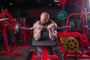 Güçlü kaslı adam halterle biceps egzersizi yapıyor.