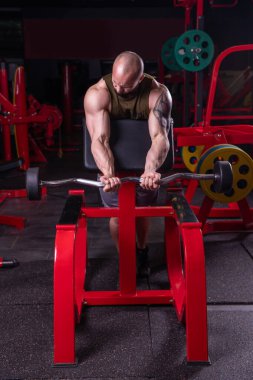 Güçlü kaslı adam halterle biceps egzersizi yapıyor.