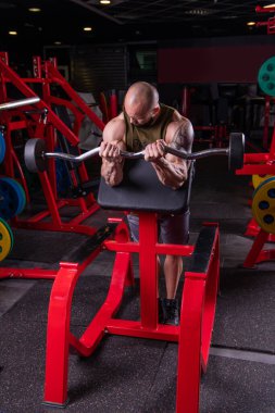 Güçlü kaslı adam halterle biceps egzersizi yapıyor.