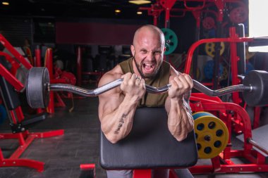 Güçlü kaslı adam halterle biceps egzersizi yapıyor.