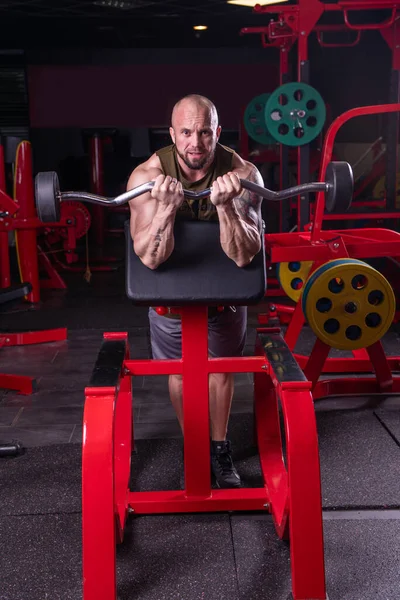 Powerful muscular man doing biceps exercise with barbell on the bench