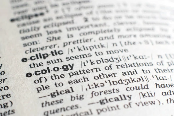 A close-up on a word Ecology in English dictionary (selective focus)