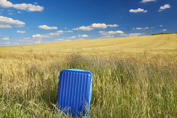 Helt ny resväska i fältet av vetekorn. — Stockfoto