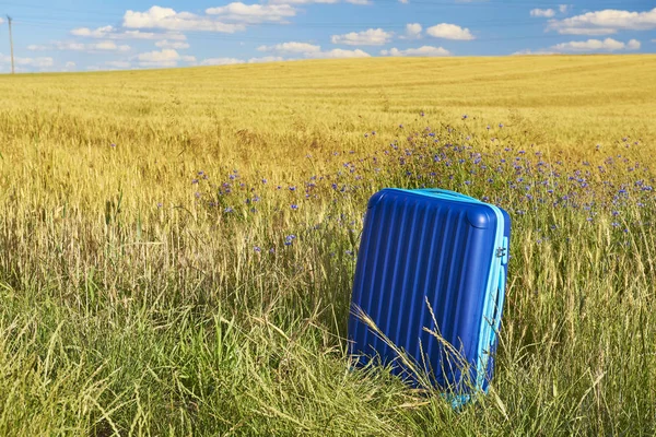 गहू धान्य क्षेत्रात नवीन सुटकेस ब्रँड करा . — स्टॉक फोटो, इमेज