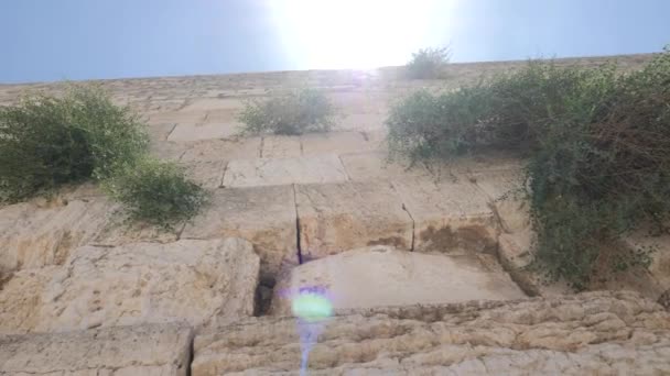 Jerusalén Ciudad Vieja Muro Occidental Monte Del Templo Muro Occidental — Vídeo de stock