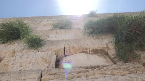 Jerusalem Die Altstadt Die Westmauer Tempelberg Westmauer Nahaufnahme Von Papieren — Stockvideo