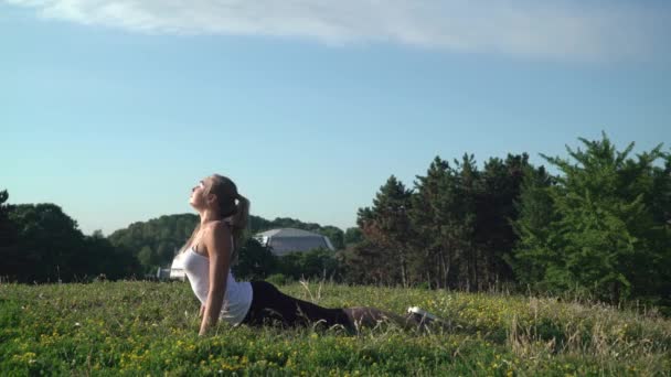 Chica haciendo ejercicio de estiramiento en el parque . — Vídeos de Stock