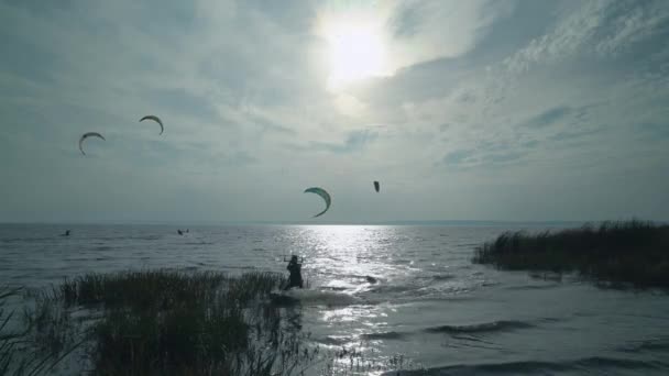 Los deportistas activos disfrutan del kitesurf — Vídeo de stock