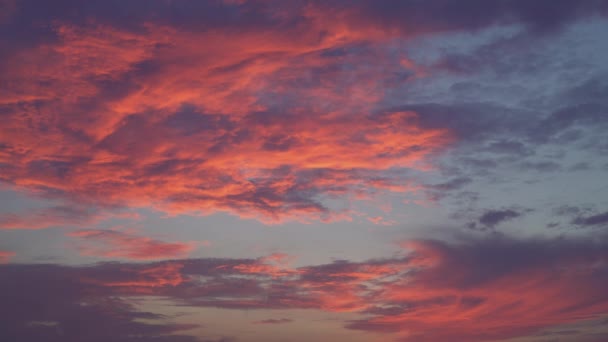 Purple skyscape in the evening. — Stock Video