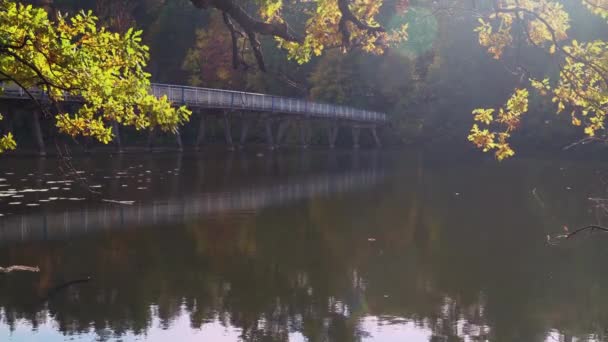 Amazing autumnal weather — Stock Video