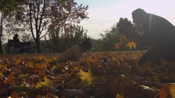 Dog owner resting with small puppy. — Stock Video