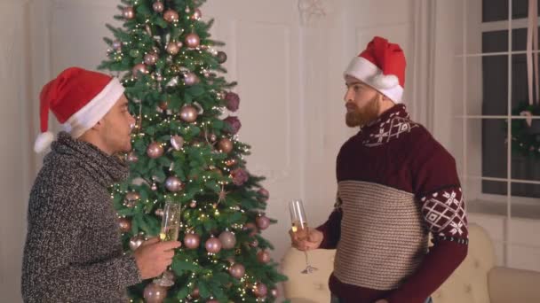ビジネス パートナーは、冬の休日を祝う — ストック動画