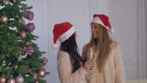 Two smiling female smiling posing for photos. — Stock Video