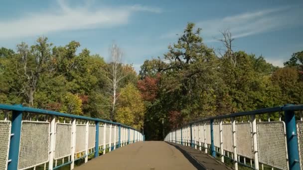 Pedestrian bridge in greenwood time - lapse — Stock Video