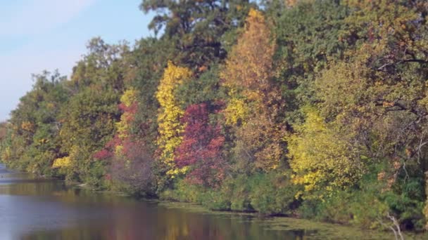 Geweldige paysage niet stedelijke scène. — Stockvideo