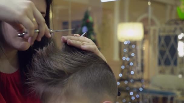 Morena peluquero corte de pelo niño . — Vídeos de Stock