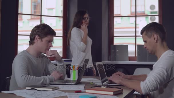 Collega's die werken op het project op het werk. — Stockvideo