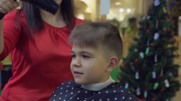 Frisören använder hårtork i frisörer — Stockvideo