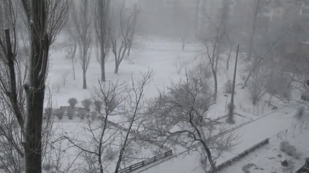 Vinter snö blizzard stad träd snabbt tidsfördröjning. Isande kyla och säsong. — Stockvideo