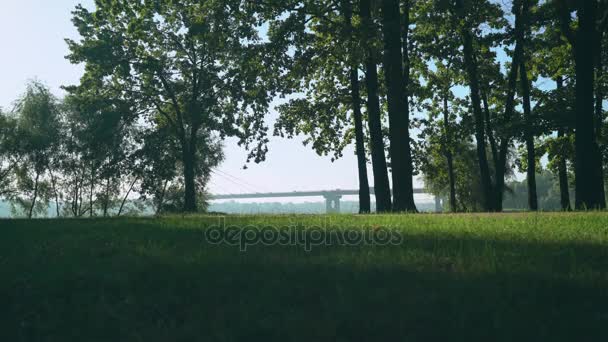 Un hombre deportivo está corriendo en el parque, una vista lateral . — Vídeo de stock