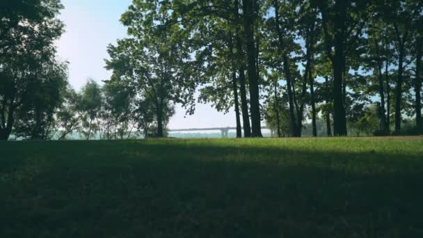 Un hombre deportivo está corriendo en el parque, una vista lateral . — Vídeo de stock