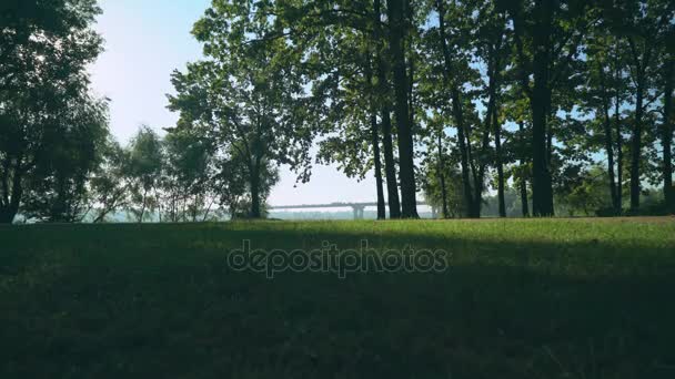 Sportif bir adam parkta bir yan koşuyor. — Stok video