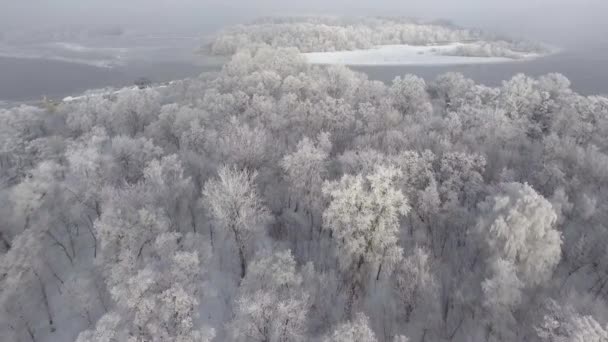 Bos in de sneeuw, bovenaanzicht, — Stockvideo